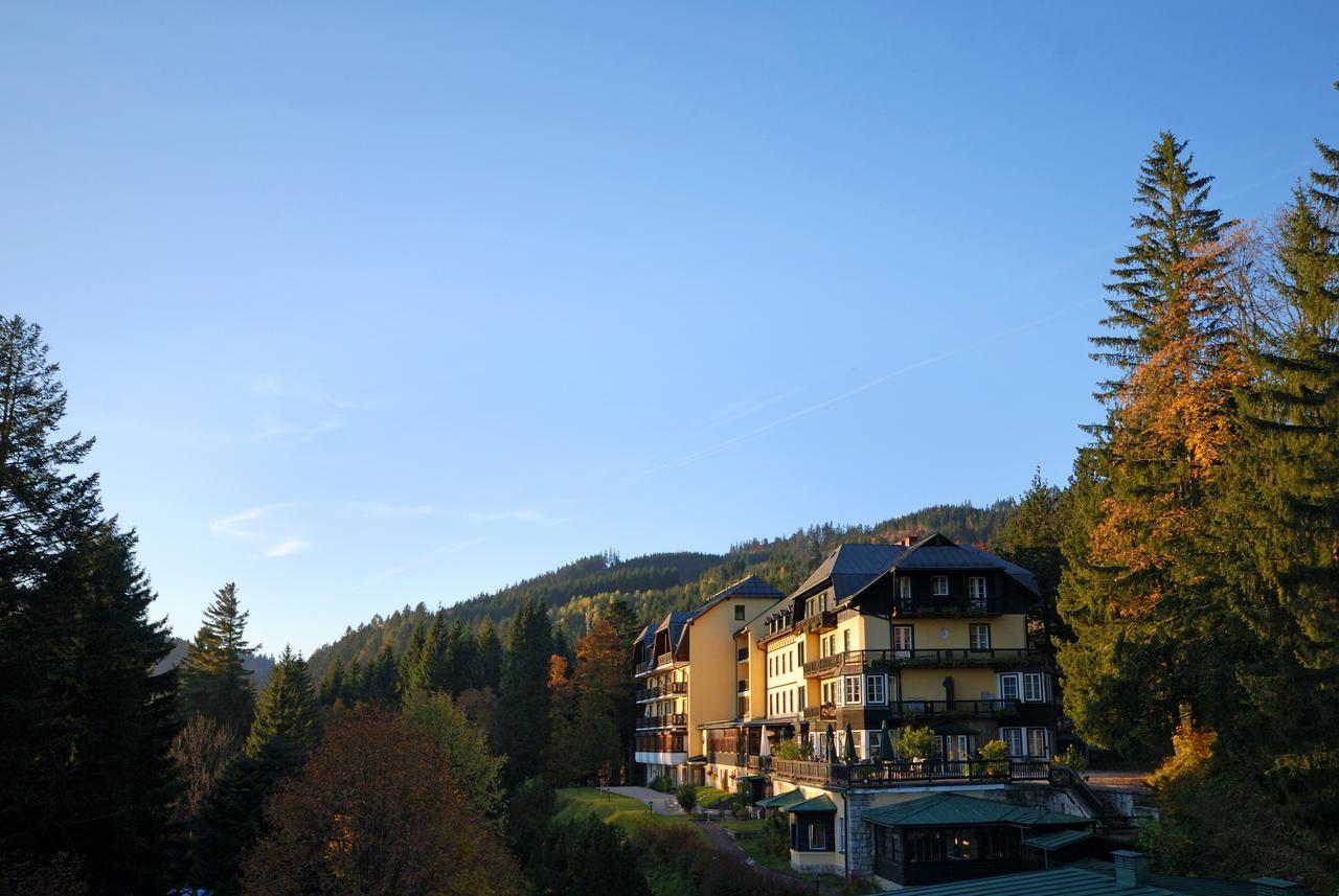 Alpenhotel Goesing Puchenstuben Exterior photo