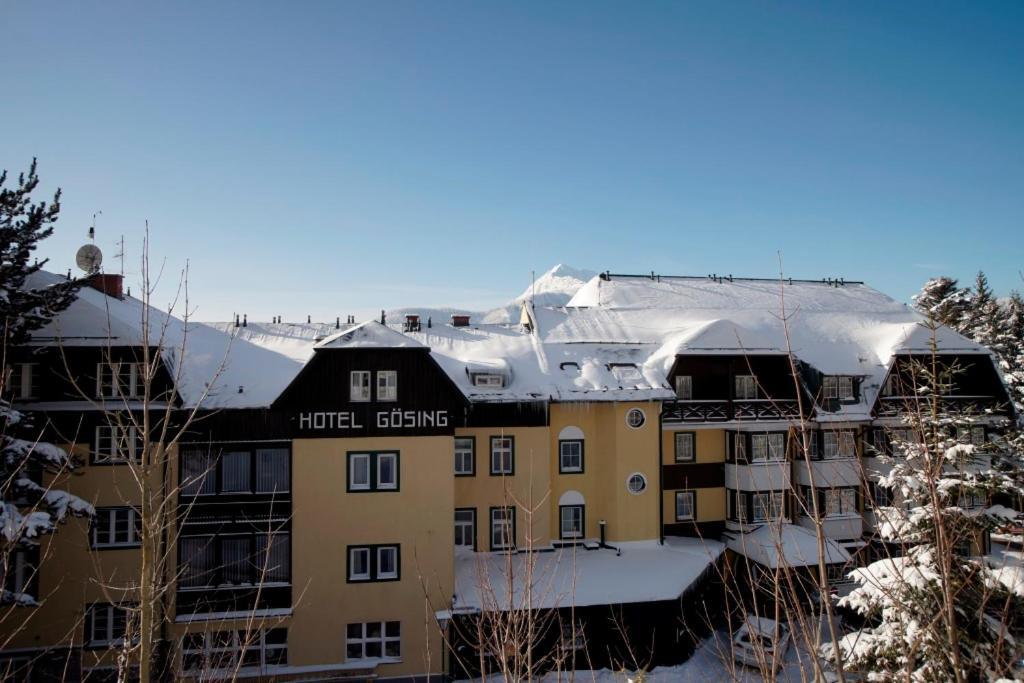 Alpenhotel Goesing Puchenstuben Exterior photo